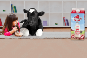 Homepage Header Girl and Cow Maola Milk