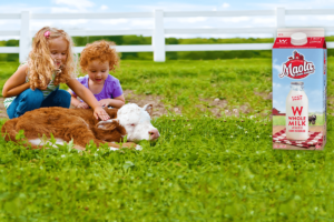 Homepage Header Girls Petting Cow Maola Milk