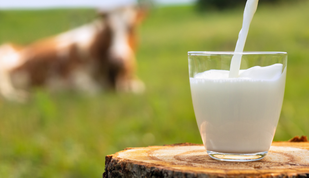 Maola Milk Blog Feature- Four Reasons to Drink More Milk