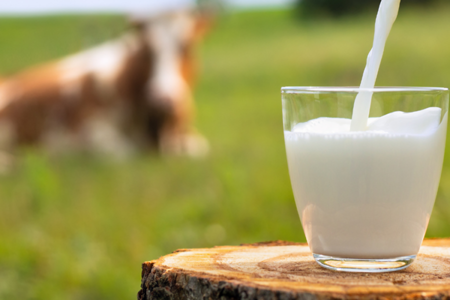 Maola Milk Blog Feature- Four Reasons to Drink More Milk