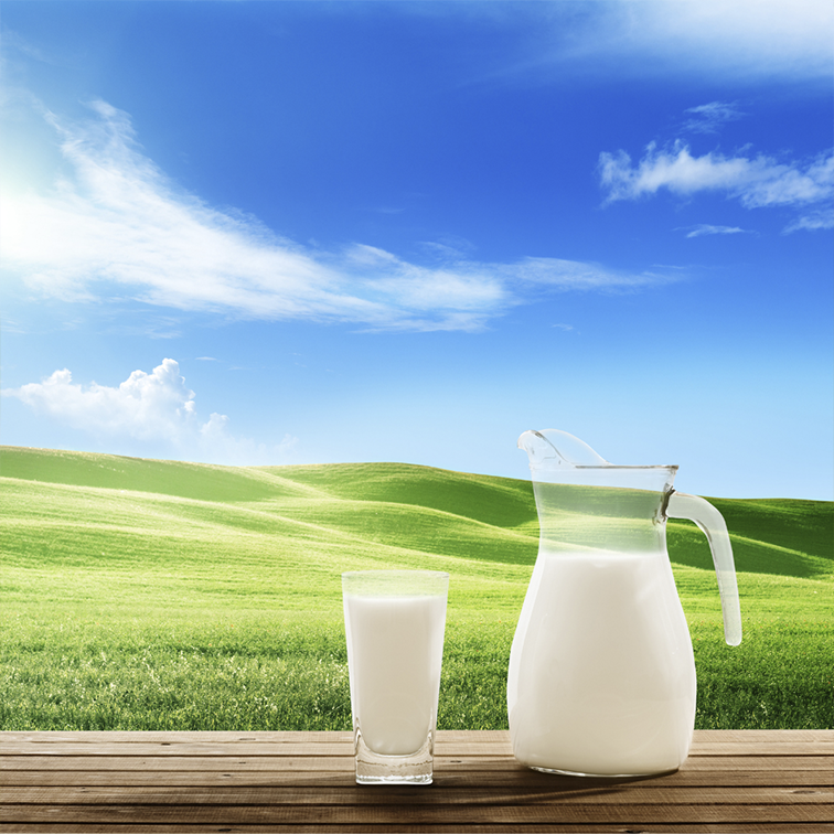 Maola Milk Blog - Four Reasons to Drink More Milk