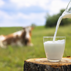 Maola Milk | Four Reasons to Drink More Milk