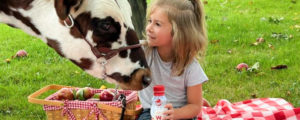 Girl drinking milk and petting cow
