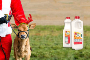 Maola Milk December Website Header
